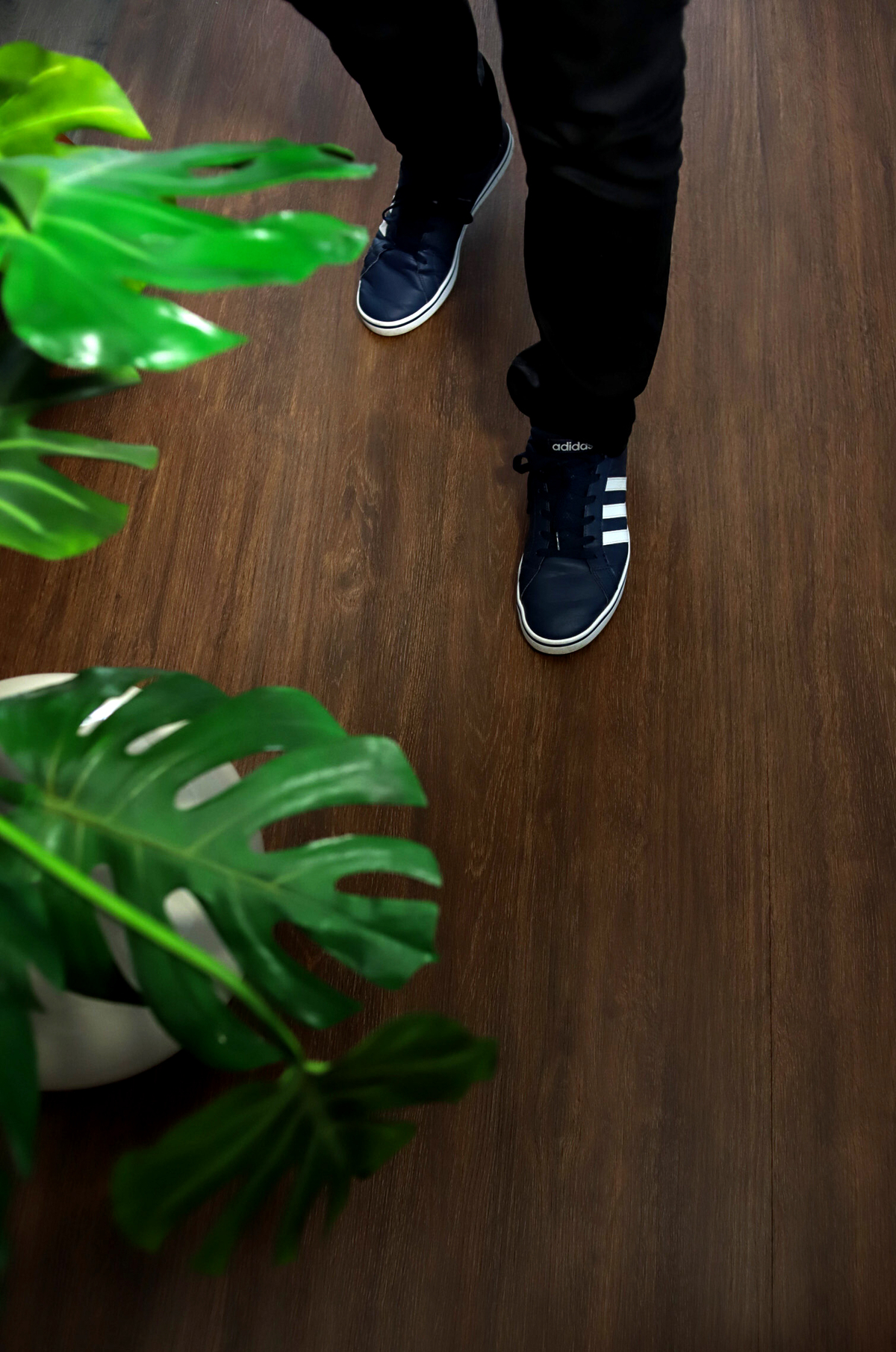 Cumaru Wood - imagem 4