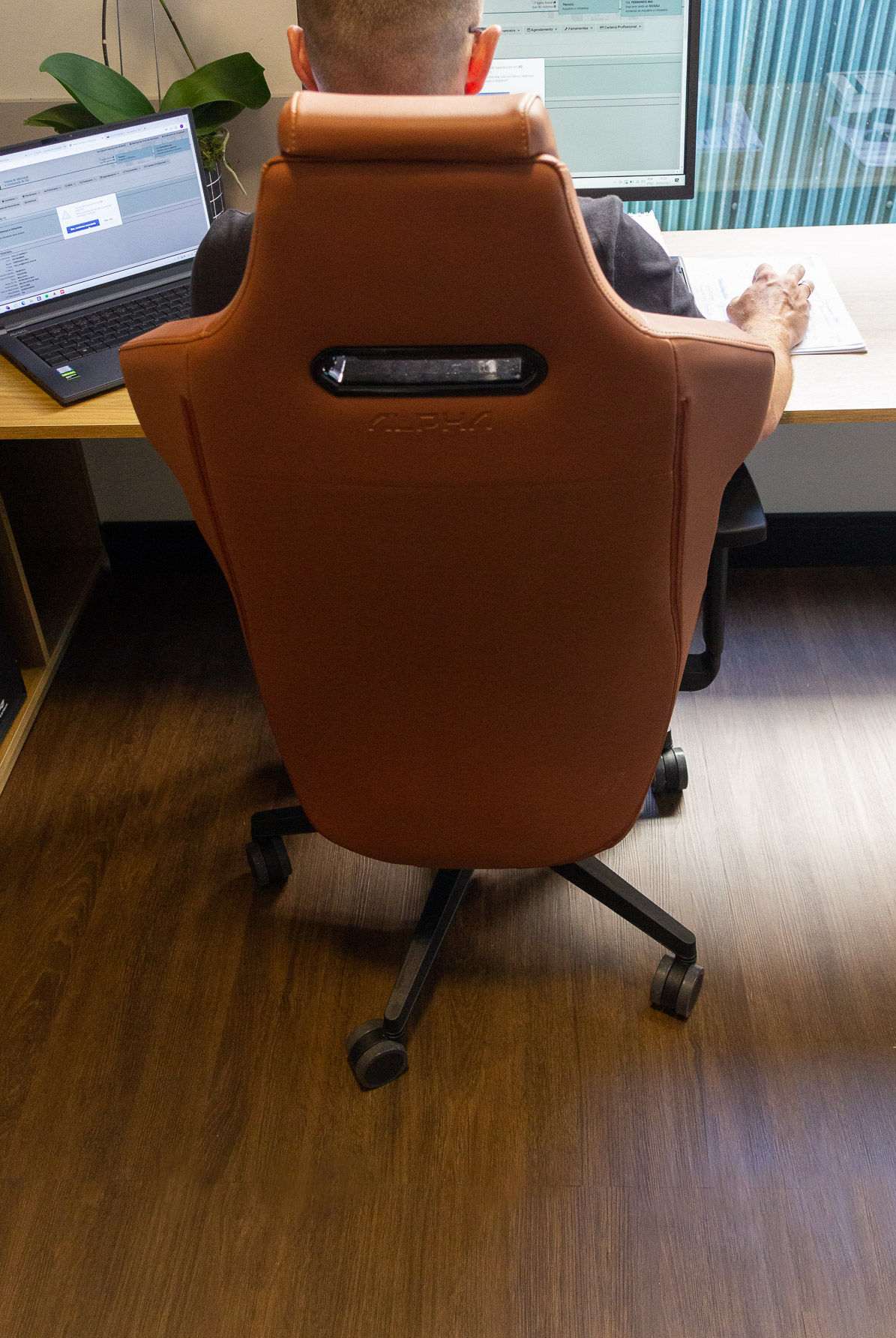 Cumaru Wood - imagem 3